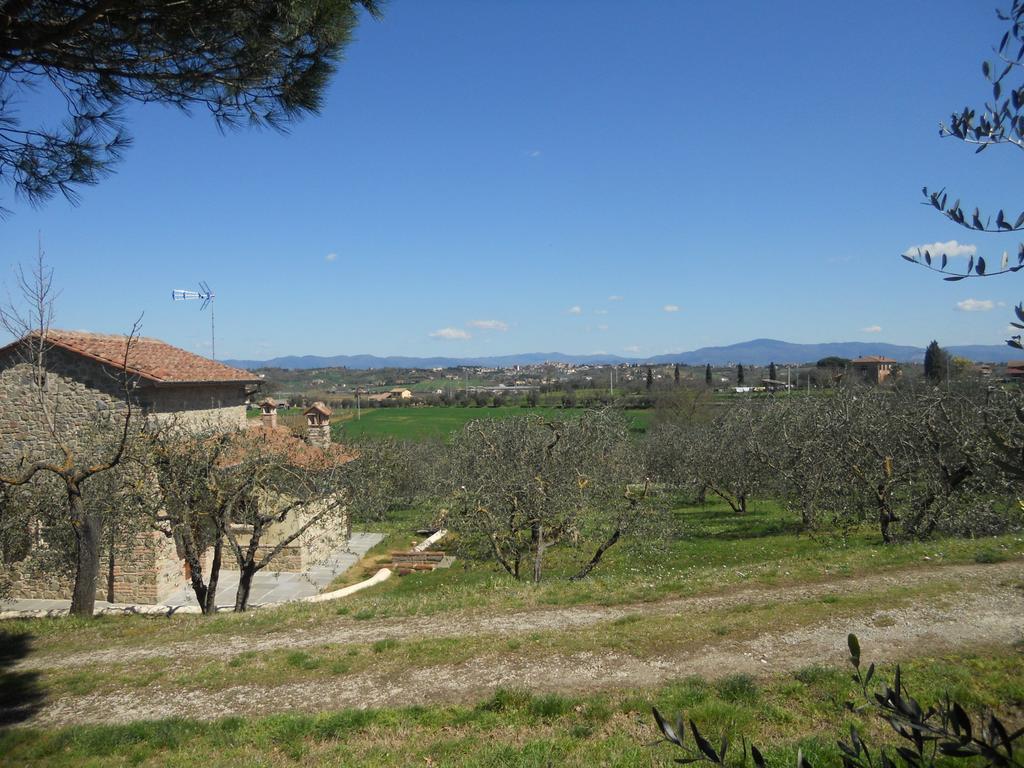 Selva Degli Ulivi Guest House Foiano Della Chiana Exterior photo